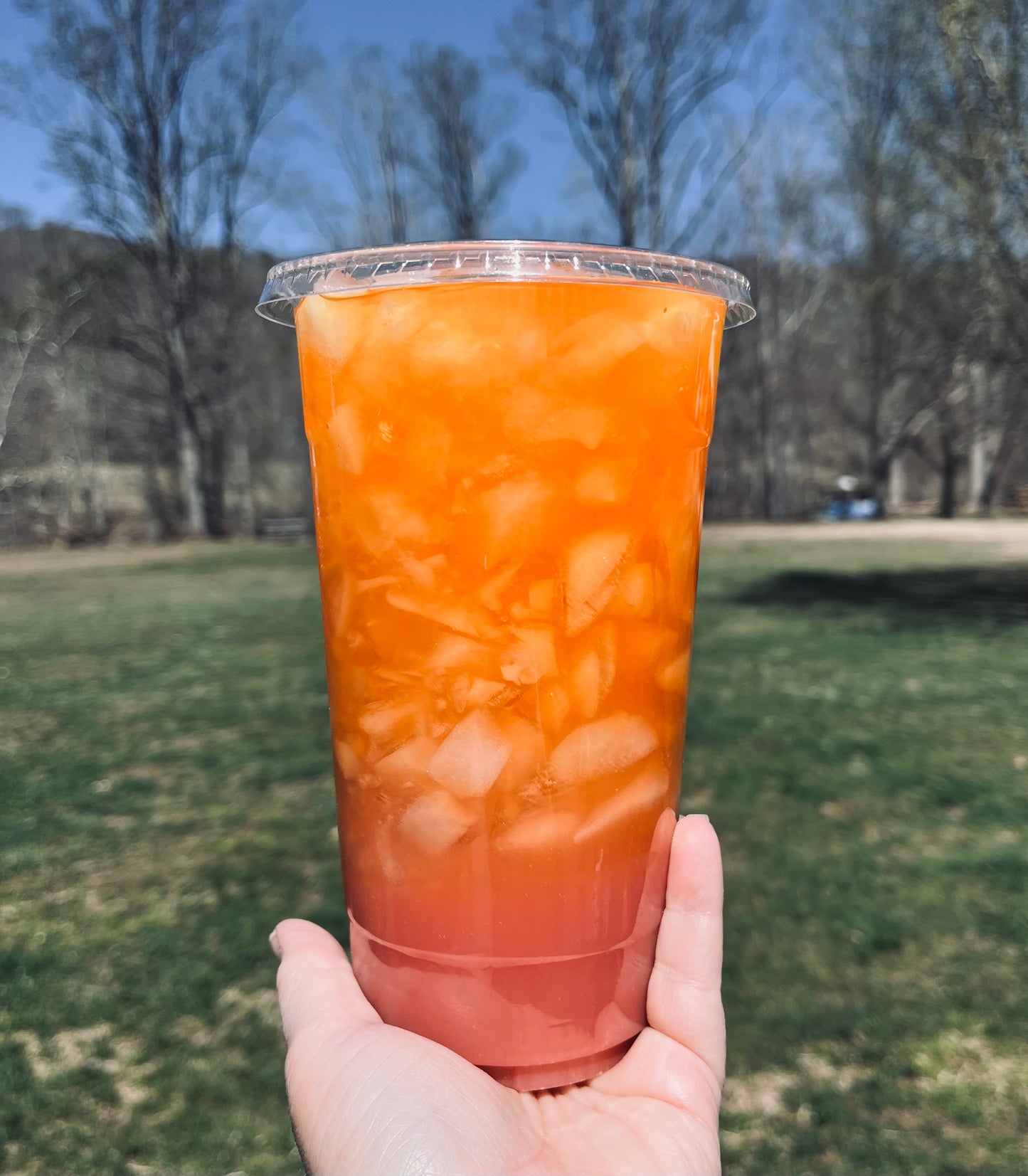 Creekside Regular Menu Single Serve Packs Loaded Tea Bomb