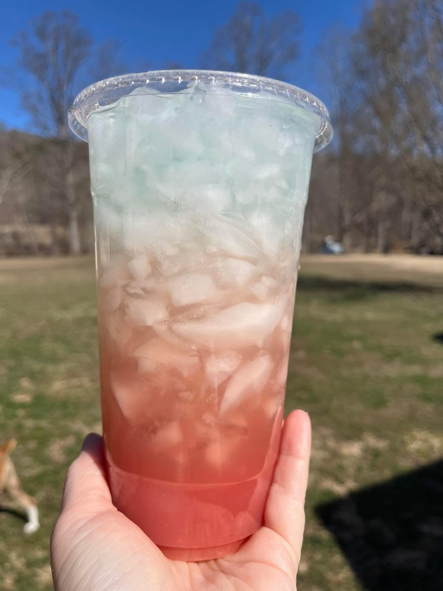 Creekside Regular Menu Single Serve Packs Loaded Tea Bomb