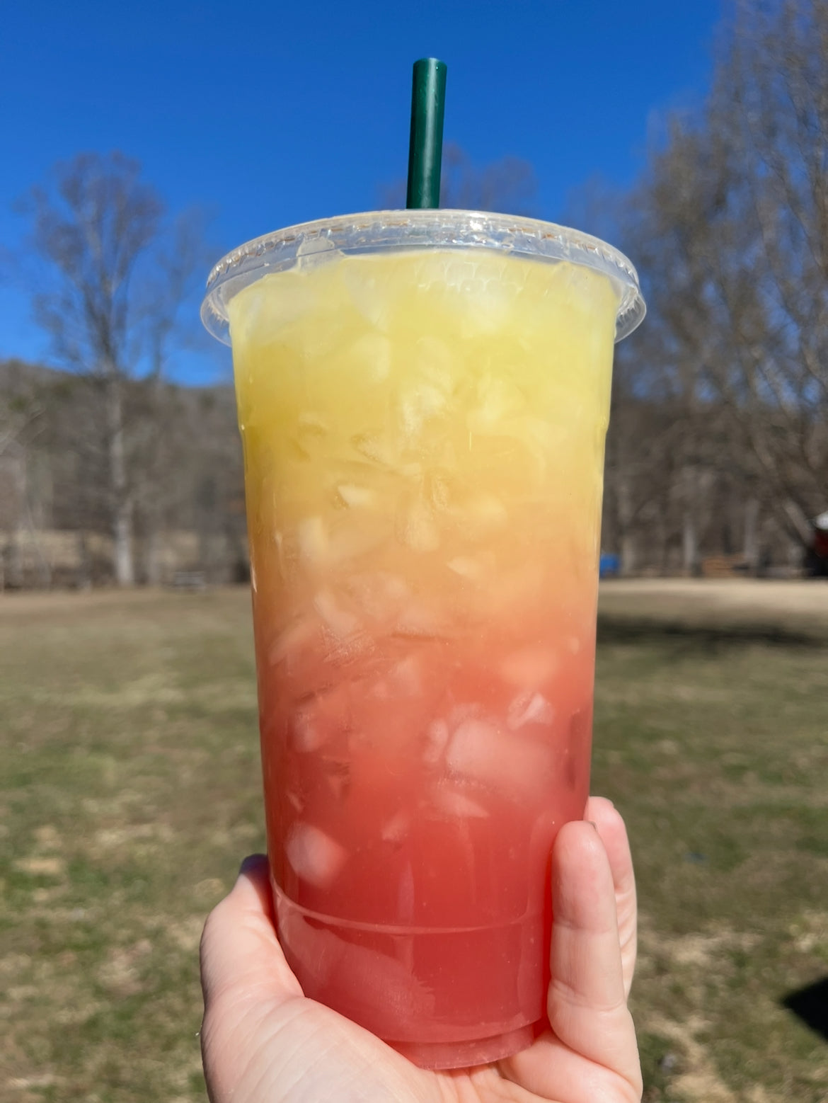 Creekside Regular Menu Single Serve Packs Loaded Tea Bomb