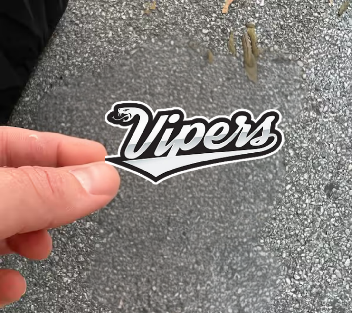 Personalized Vipers Steele Logo Car Decal Or Water Bottle Sticker