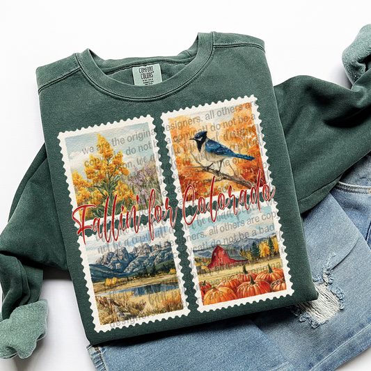Fallin' For COLARDO Vintage State Stamp Comfort Colors Shirt