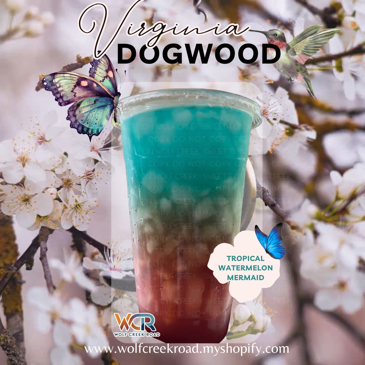 CREEKSIDE REGULAR Menu Single Serve PRINCESS PACK - ZERO CAFFEINE OR VITAMINS